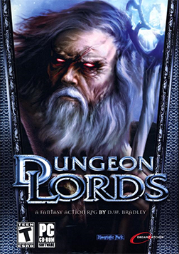 Dungeon Lords  Steam edition