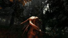 The Forest [v.0.41b]
